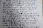 娱乐圈吃瓜作文800字,揭秘明星背后的故事