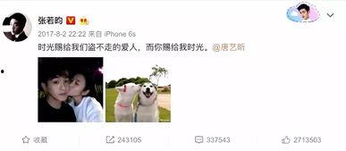 娱乐圈吃瓜张翰微博