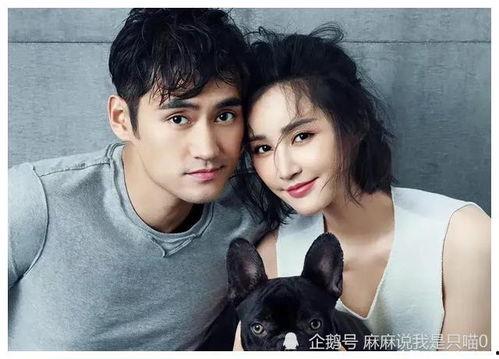 圈内爆料娱乐圈吃瓜